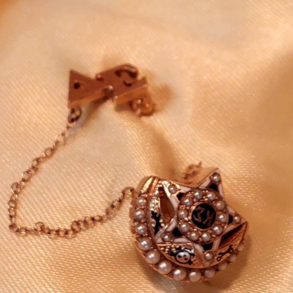 10k Gold Sigma Kappa Skull Badge w. Seed Pearls and Guard