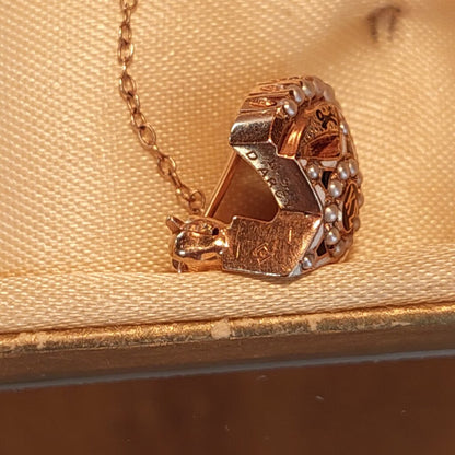 10k Gold Sigma Kappa Skull Badge w. Seed Pearls and Guard