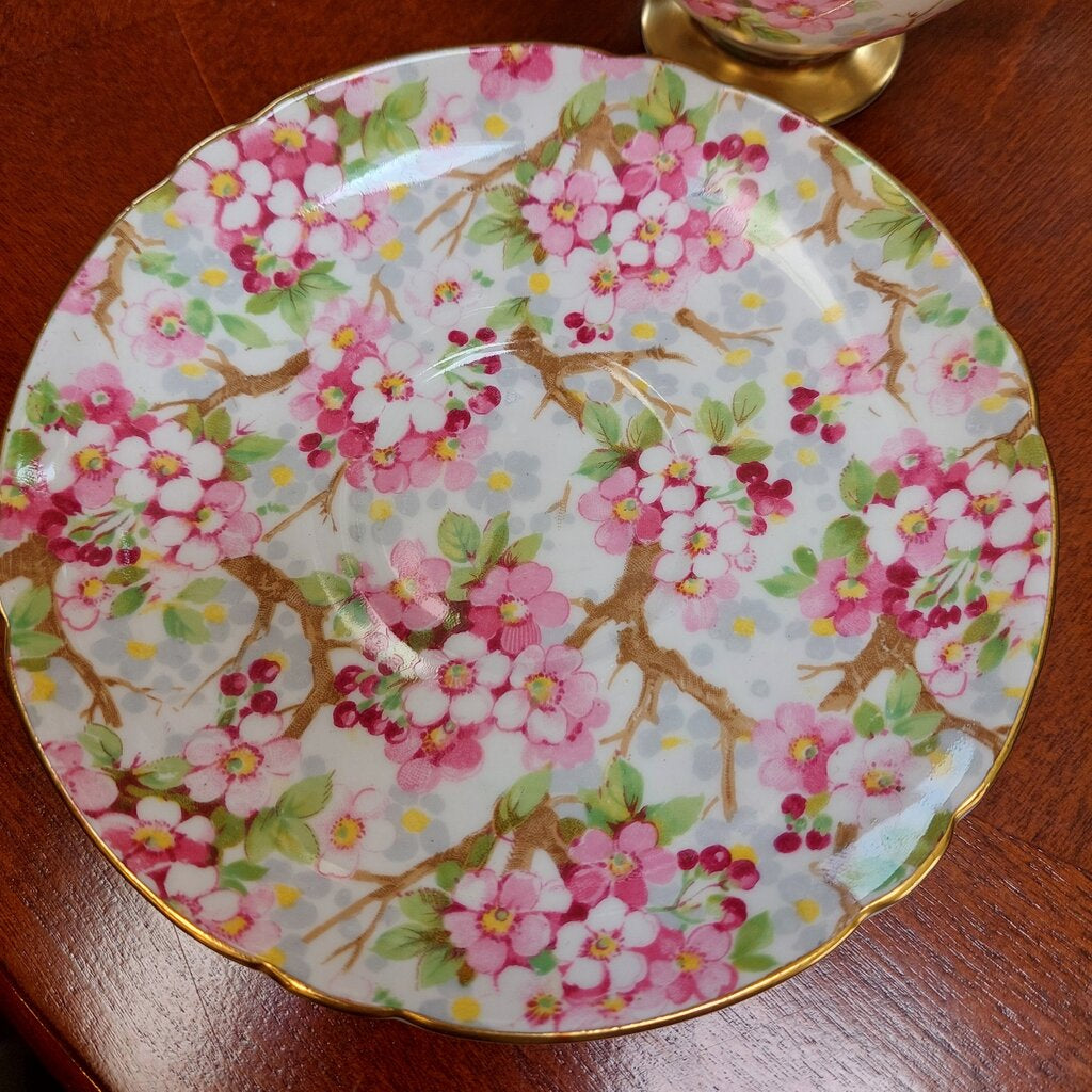 VTG Shelley Cherry Blossom "Maytime" #13386 Footed Teacup and Saucer