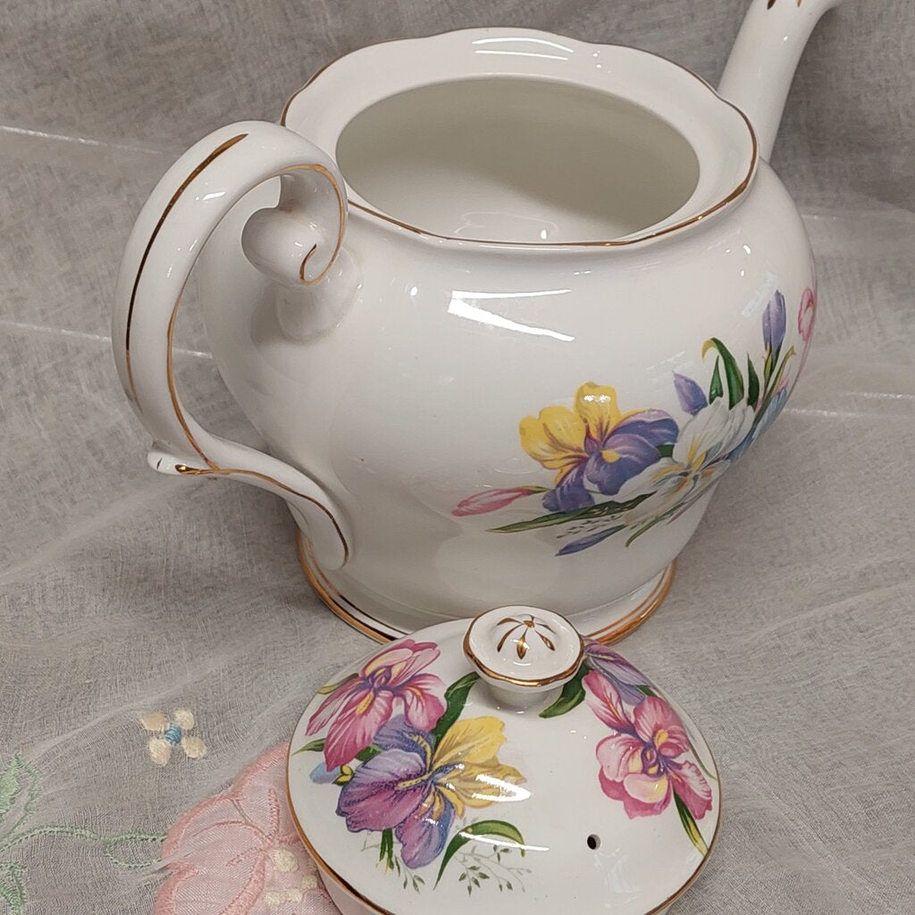 Royal Standard 5 Cup Teapot in Winsome Pattern #595 Rare Exc. Cond.