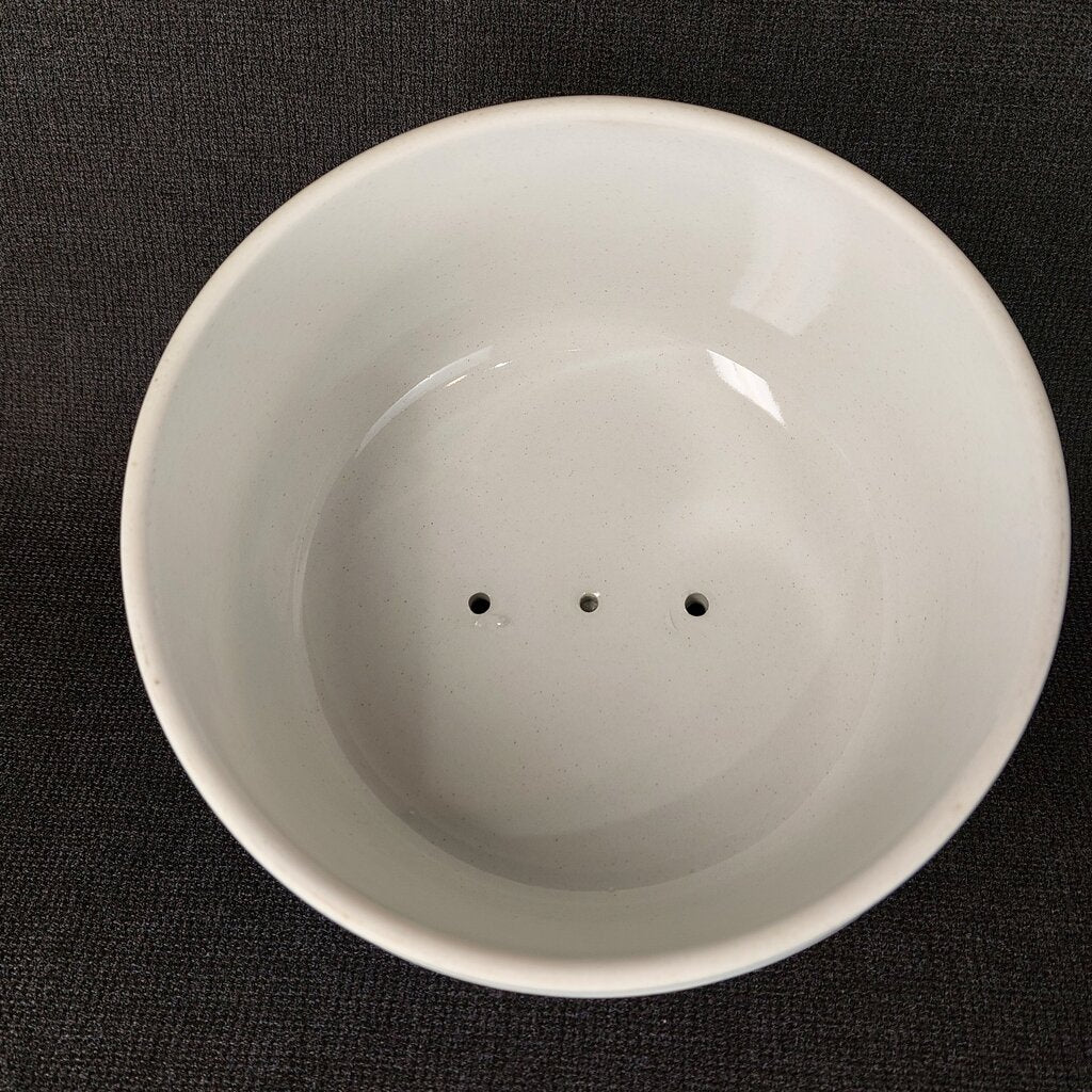 Wedgwood Jasperware Cheese Dome and Underplate 4 1/2 Inches High