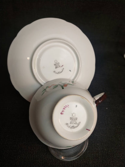 1923-1933 Paragon Star Bird of Paradise Tea Cup and Saucer - The URBANARY Home and Garden