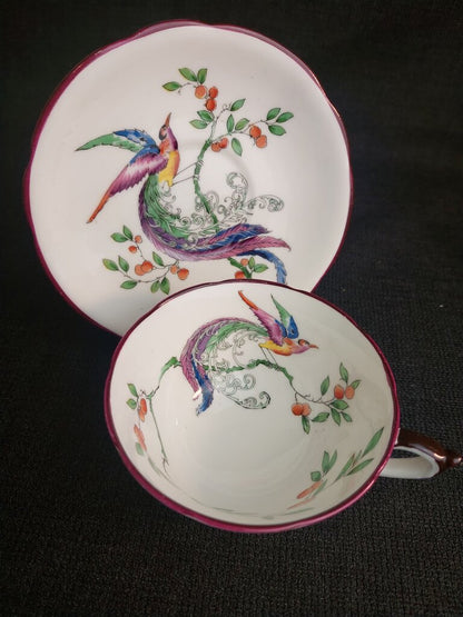 1923-1933 Paragon Star Bird of Paradise Tea Cup and Saucer - The URBANARY Home and Garden