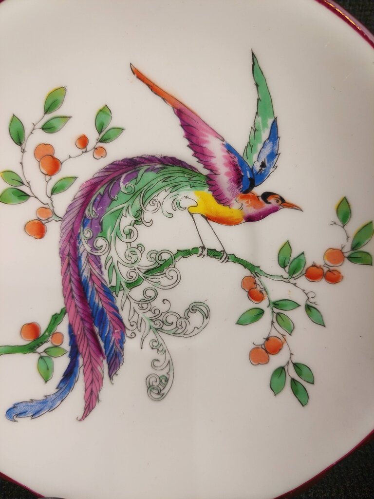 1923-1933 Paragon Star Bird of Paradise Tea Cup and Saucer - The URBANARY Home and Garden