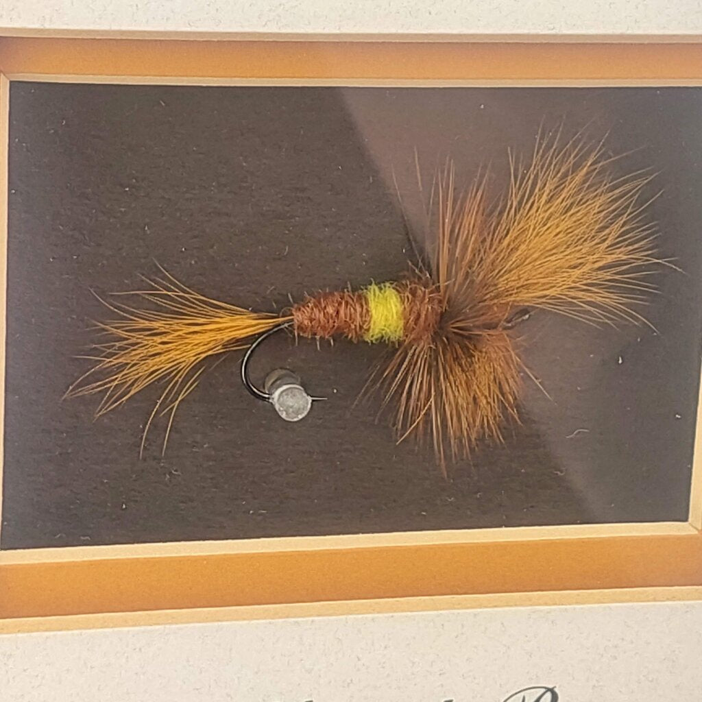 Steelhead Bee - in Shadow Box signed D.Gamboa Hand Tied Steelhead Bee Fishing Fly and Canada Postage Stamp