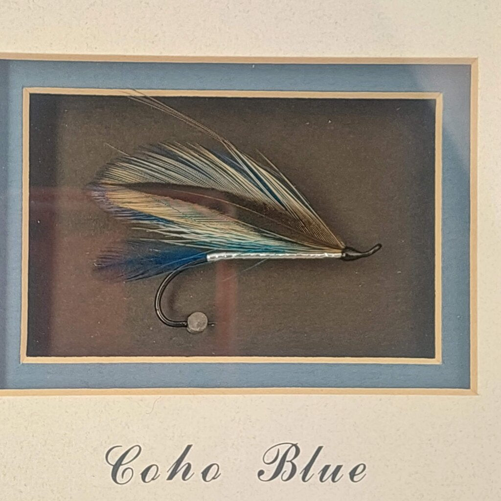 COHO BLUE Salmon Fly in Shadow Box Signed by Dennis Gamboa with BC Fishing Heritage Art Stamp