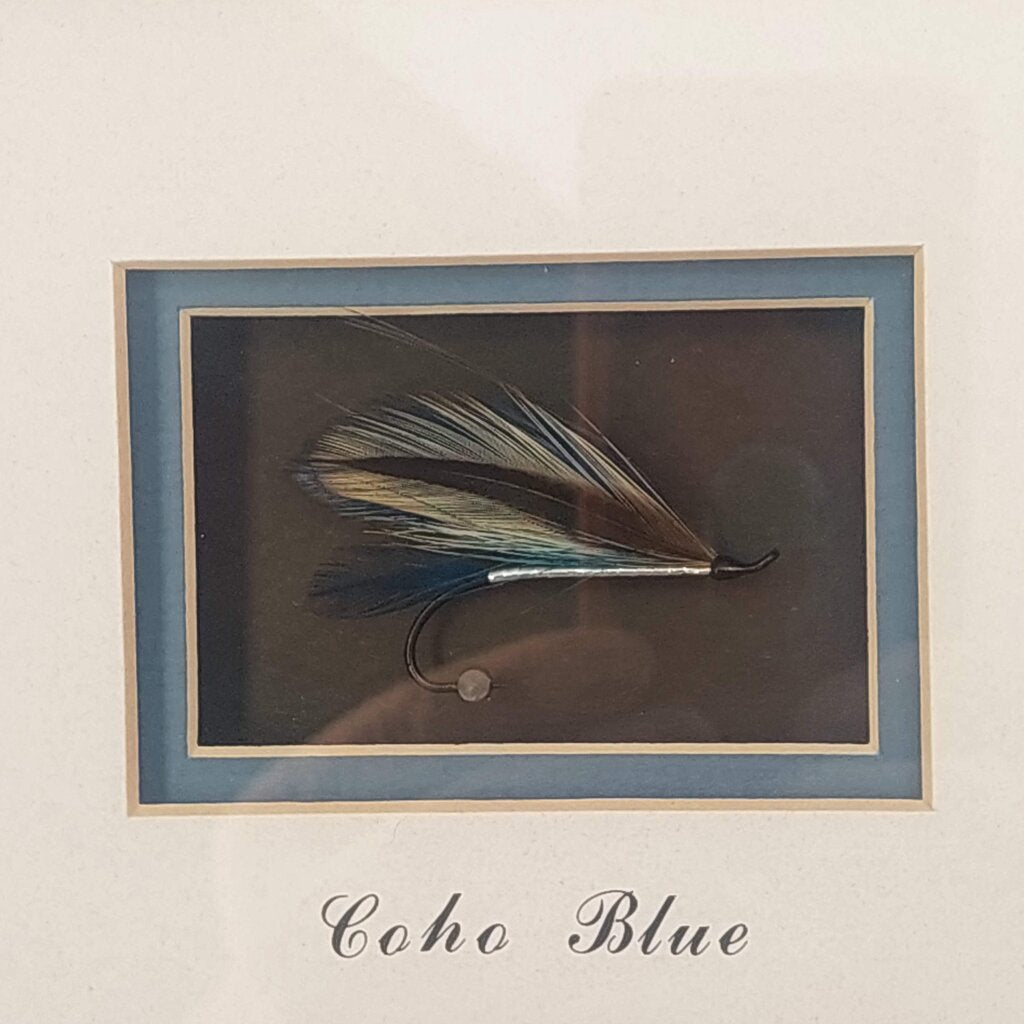COHO BLUE Salmon Fly in Shadow Box Signed by Dennis Gamboa with BC Fishing Heritage Art Stamp