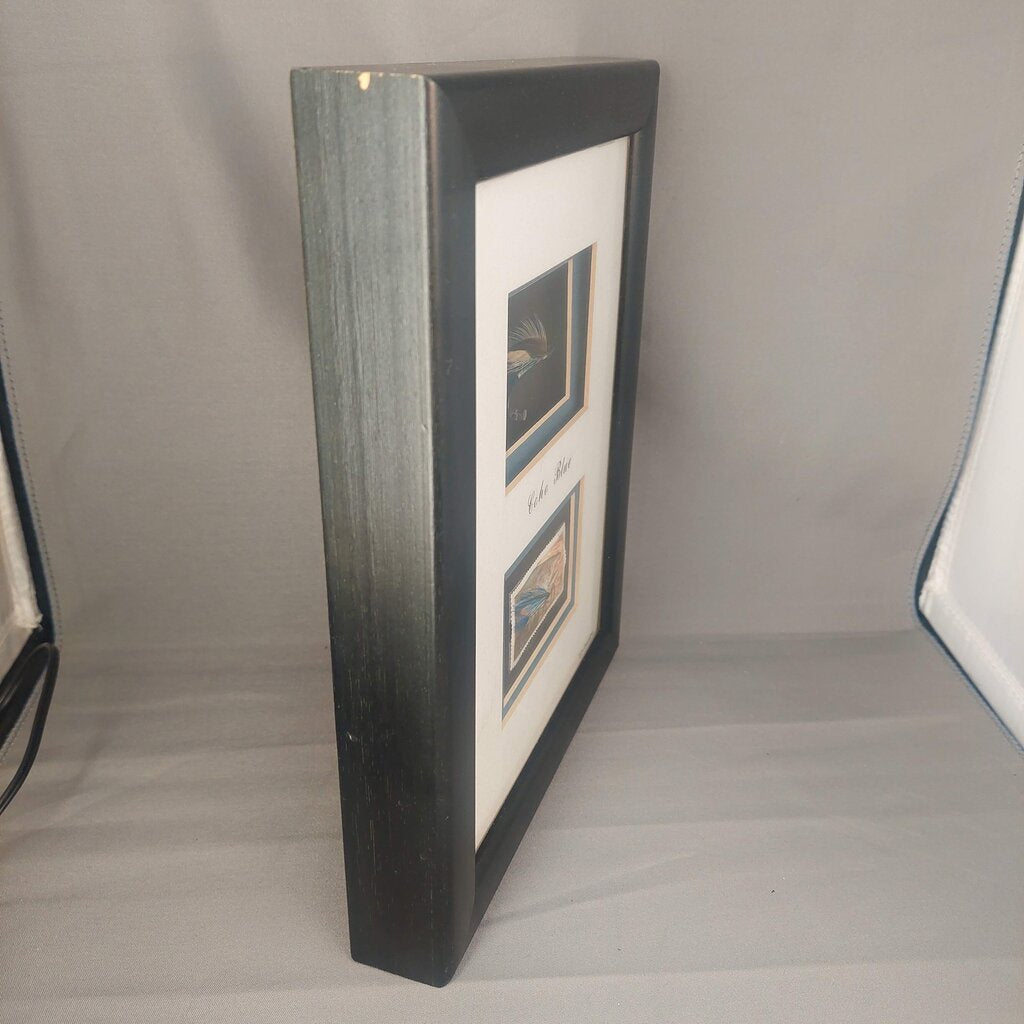 COHO BLUE Salmon Fly in Shadow Box Signed by Dennis Gamboa with BC Fishing Heritage Art Stamp