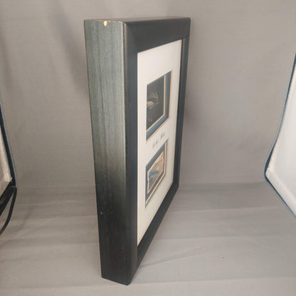 COHO BLUE Salmon Fly in Shadow Box Signed by Dennis Gamboa with BC Fishing Heritage Art Stamp