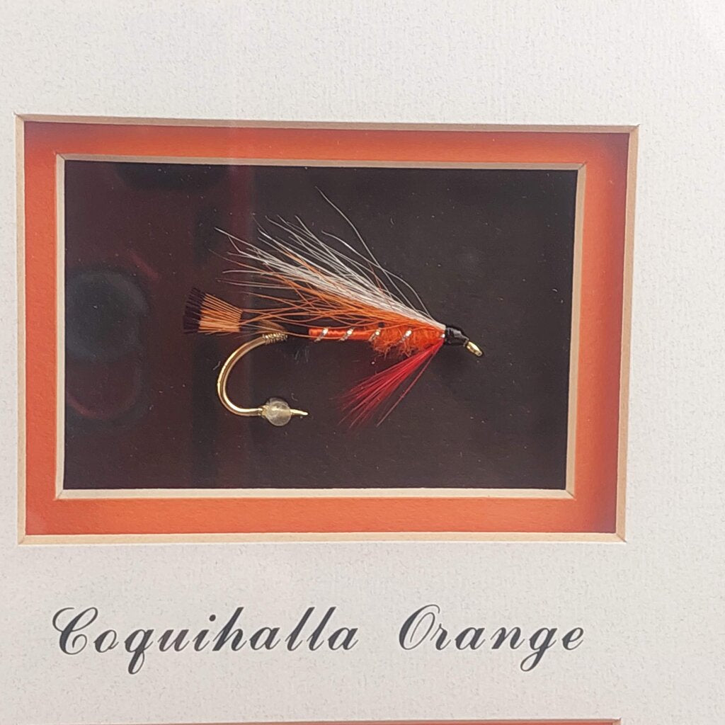 COQUIHALLA ORANGE - Framed Steelhead Fly Signed D.Gamboa w. BC Fishing Canada Stamp