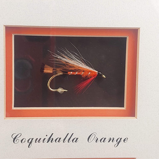 COQUIHALLA ORANGE - Framed Steelhead Fly Signed D.Gamboa w. BC Fishing Canada Stamp