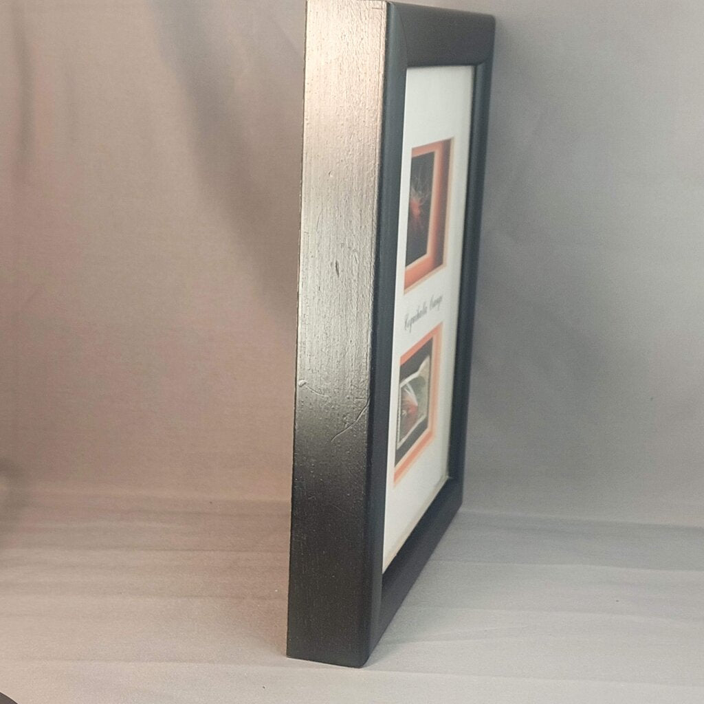 COQUIHALLA ORANGE - Framed Steelhead Fly Signed D.Gamboa w. BC Fishing Canada Stamp