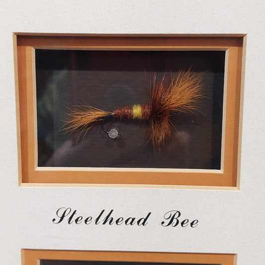 Steelhead Bee - in Shadow Box signed D.Gamboa Hand Tied Steelhead Bee Fishing Fly and Canada Postage Stamp