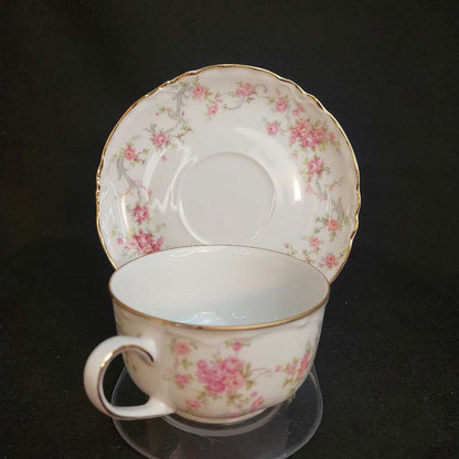 RICHELIEU 7658 TEA CUP & SAUCER by Hutschenreuther Selb Bavaria