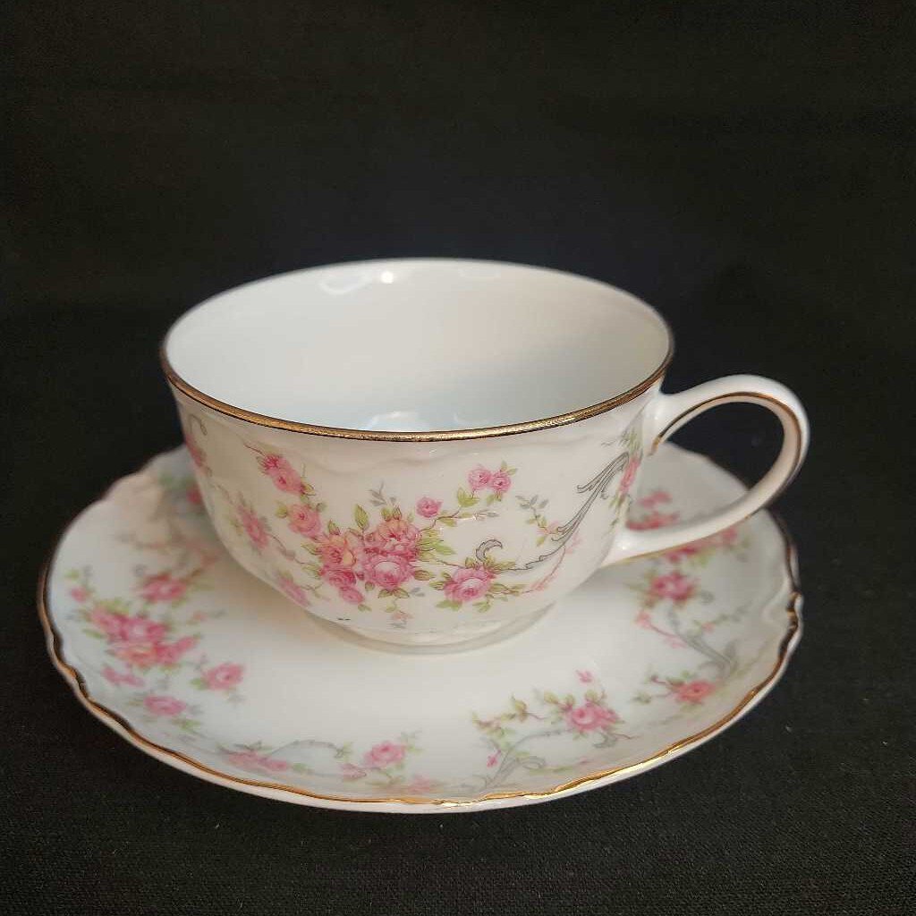 RICHELIEU 7658 TEA CUP & SAUCER by Hutschenreuther Selb Bavaria